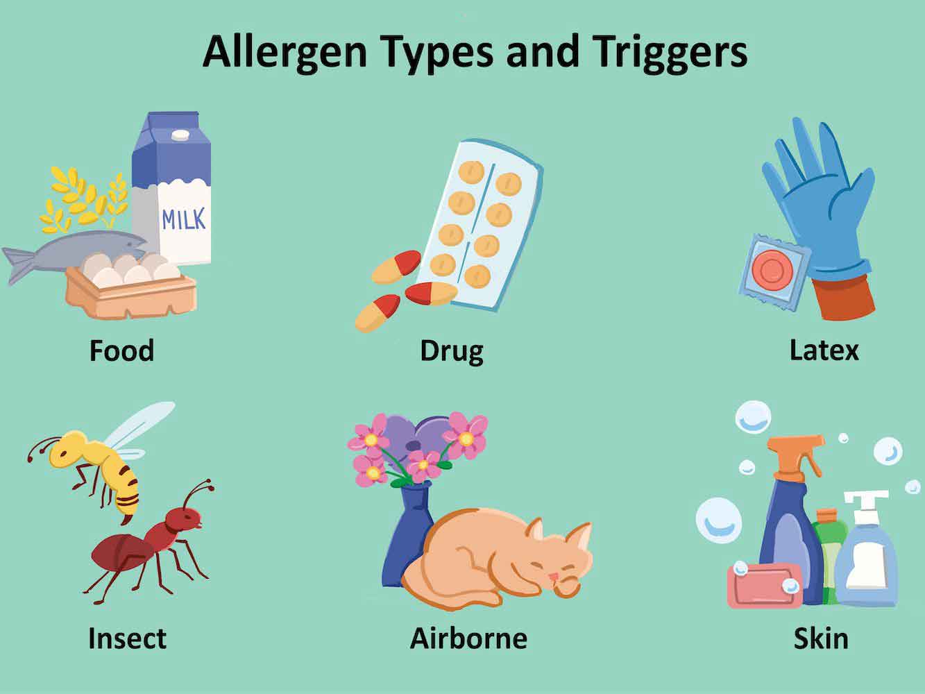 Allergy Types and Triggers
