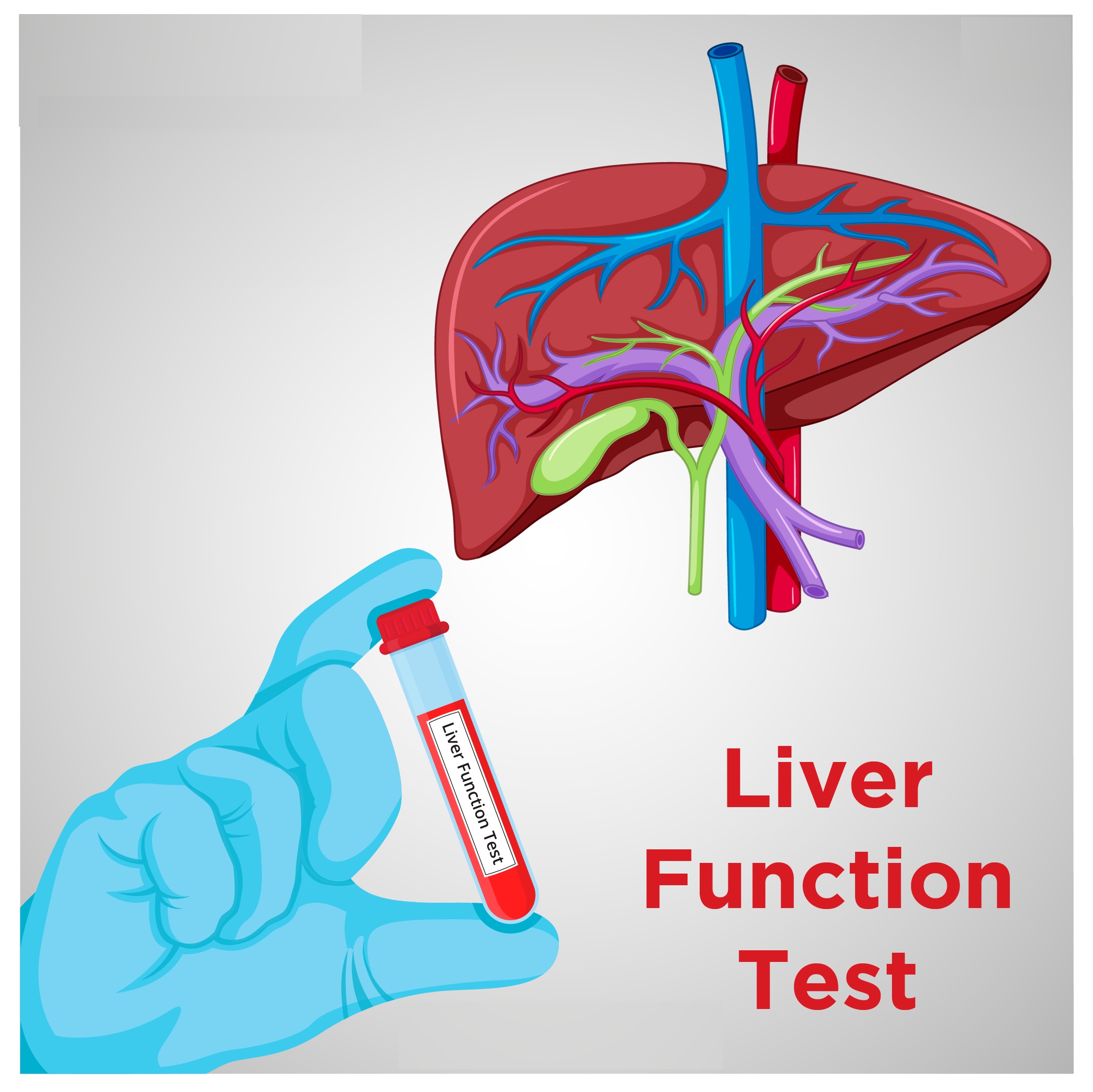 Liver Function Panel