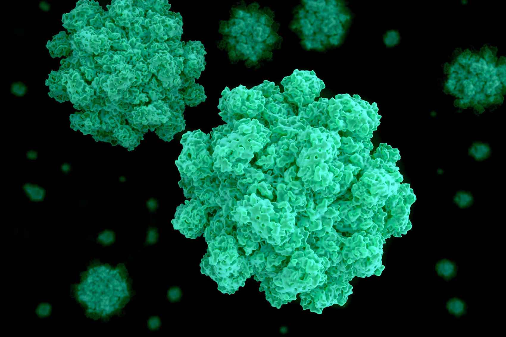 Spread of norovirus